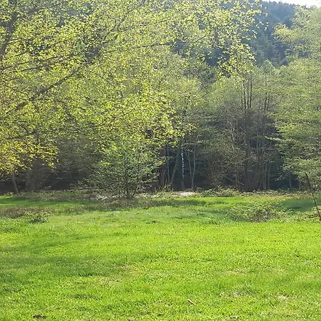 In Quirin With Garden, Cleaning Included 別荘 *