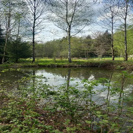 Nature Retreat In Lorraine, Cleaning Included Hébergement de vacances Saint-Quirin