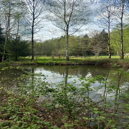 In Quirin With Garden, Cleaning Included 別荘 Saint-Quirin