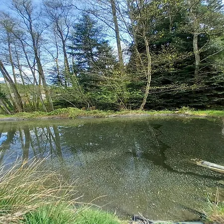 Nature Retreat In Lorraine, Cleaning Included * Saint-Quirin
