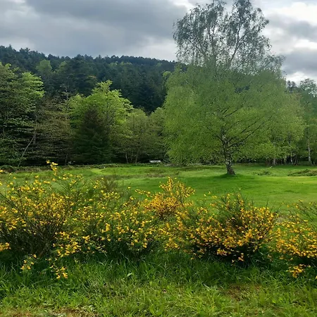 Nature Retreat In Lorraine, Cleaning Included